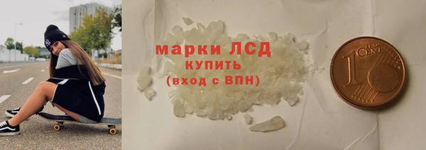 ГАЛЛЮЦИНОГЕННЫЕ ГРИБЫ Осинники