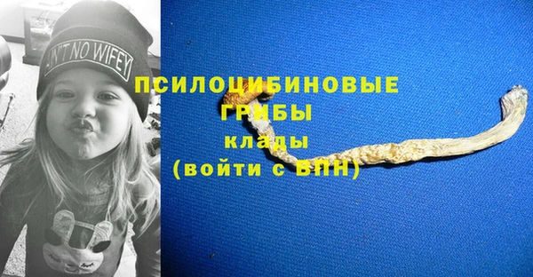 амф Балахна
