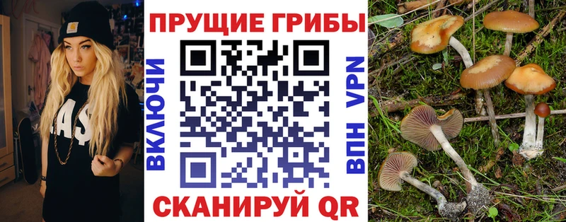 купить наркотики сайты  Давлеканово  Галлюциногенные грибы Magic Shrooms 
